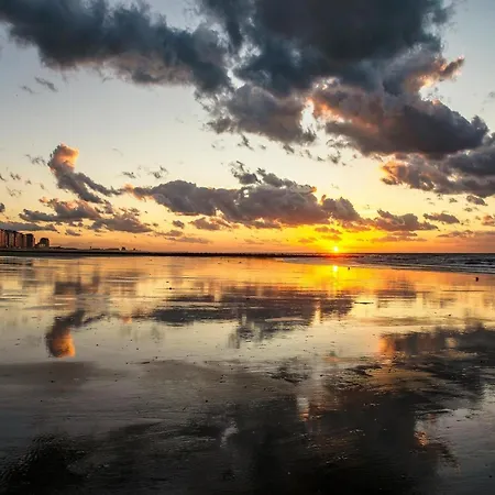 In Near The アパート ミデルケルケ