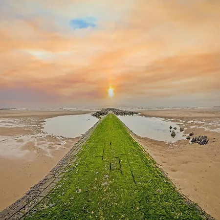 Apartamento In Near The